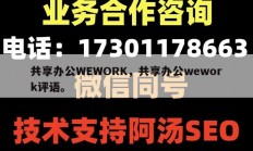 共享办公WEWORK，共享办公wework评语。